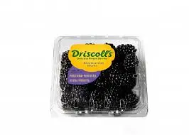 توت اسود علب