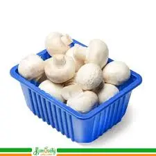 فطر ابيض كيلو